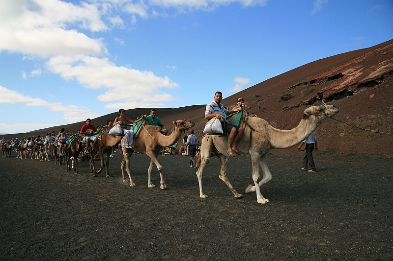 Kanary_2010 040